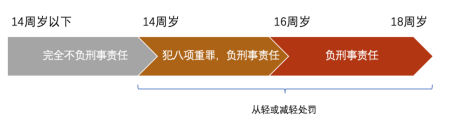 2024年11月24日 第2页