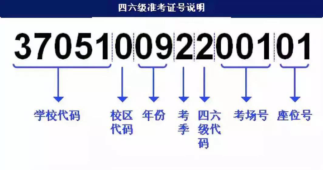 新澳门今天最新免费资料,快速问题处理策略_Android256.184