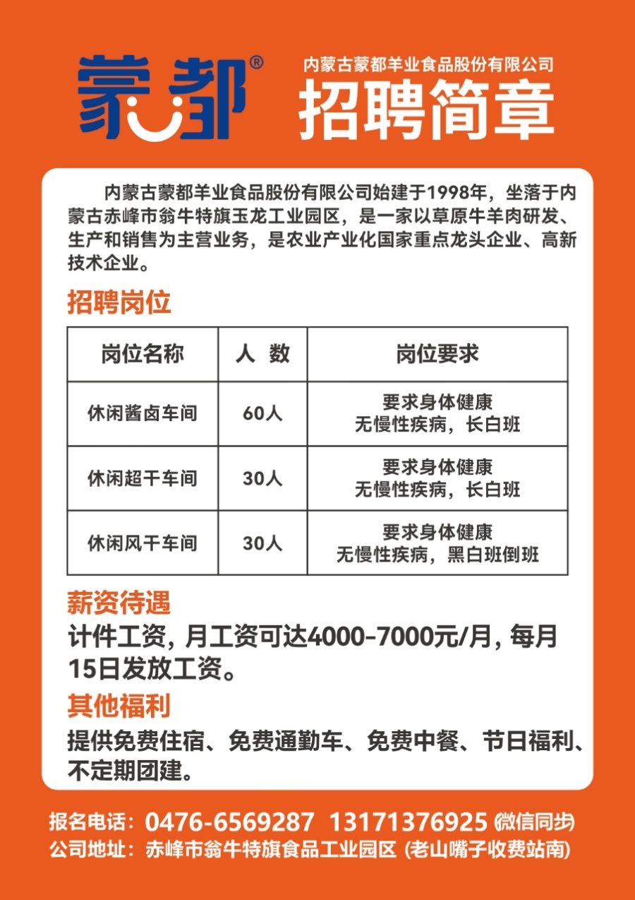 乌海招聘网最新招聘动态深度解读与分析